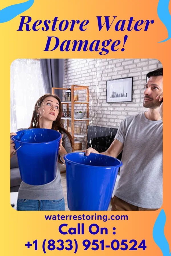 water restoration Complete Damage Restoration Brothers Palmer