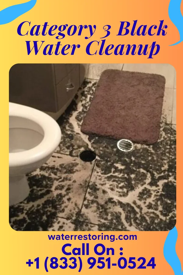 Category 3 Black Water Cleanup in Palmer, TX