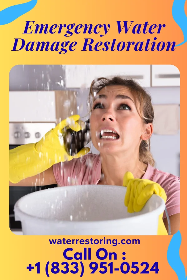Emergency Water Damage Restoration in Palmer, TX