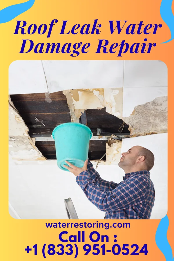 Roof Leak Water Damage Repair in Palmer, TX